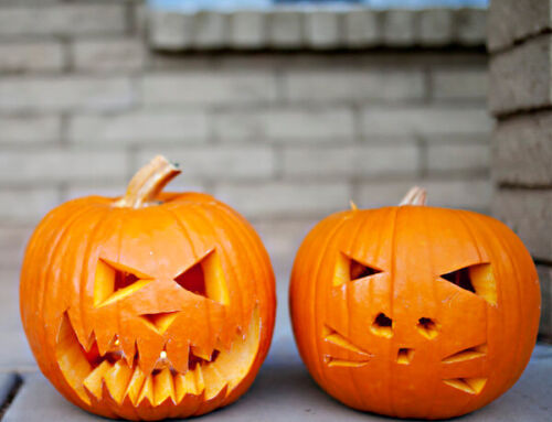Guide to Halloween in the Neighborhood 2026