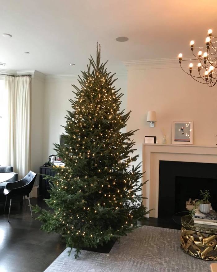 Christmas trees lit up