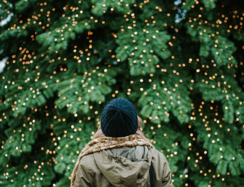 History Lesson – The Story of the Tree for Boston