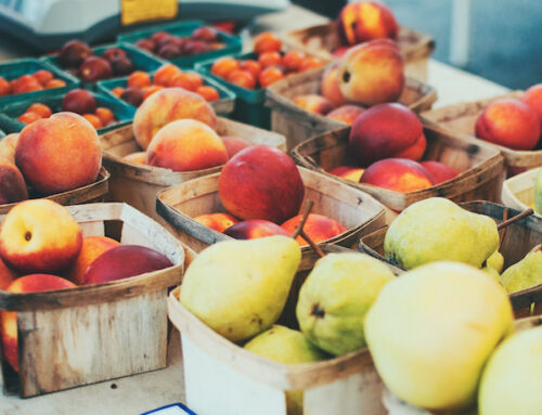 East Boston Farmers Market Is Back for a New Season!