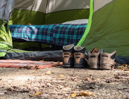 Spend the Night on Spectacle Island with Camp Spectacle!