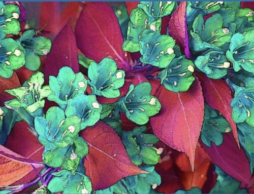 Art for the New Year: Small Works off the Wall