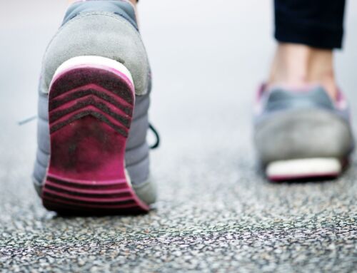 Tour de Eastie Hike! Explore East Boston on the Boston Boundless Trail with Walking City Trails
