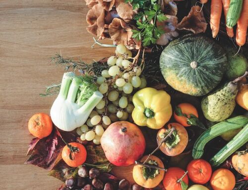 Celebrate the Fall Equinox at Eastie Farm